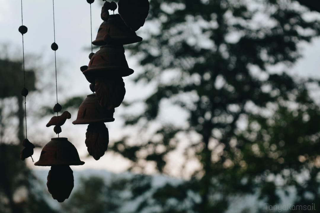 Photography Club Activity