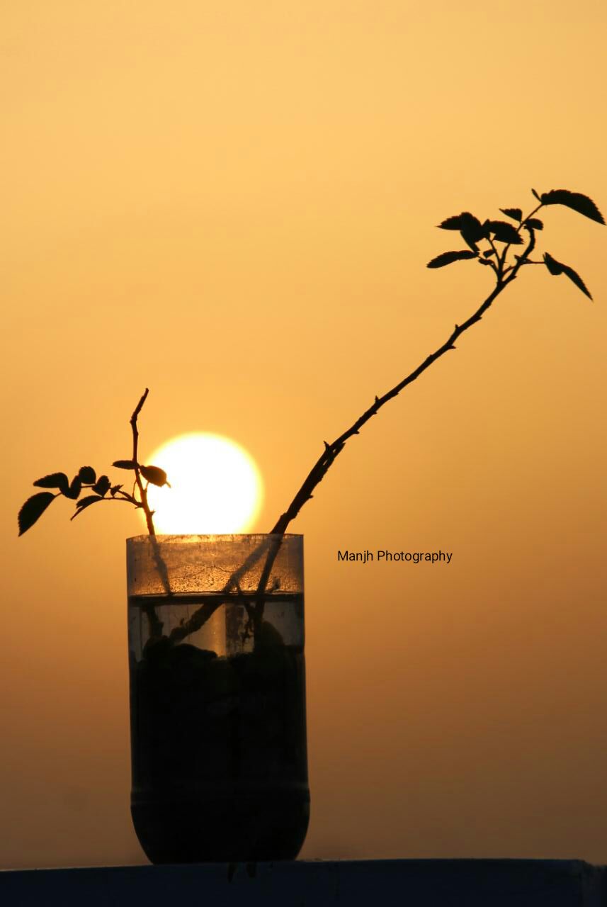 Photography Club Activity