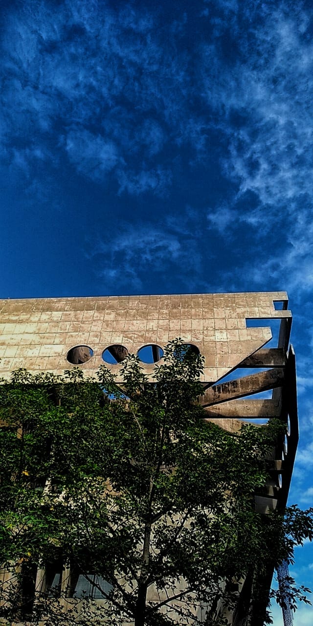 Photography Club Activity