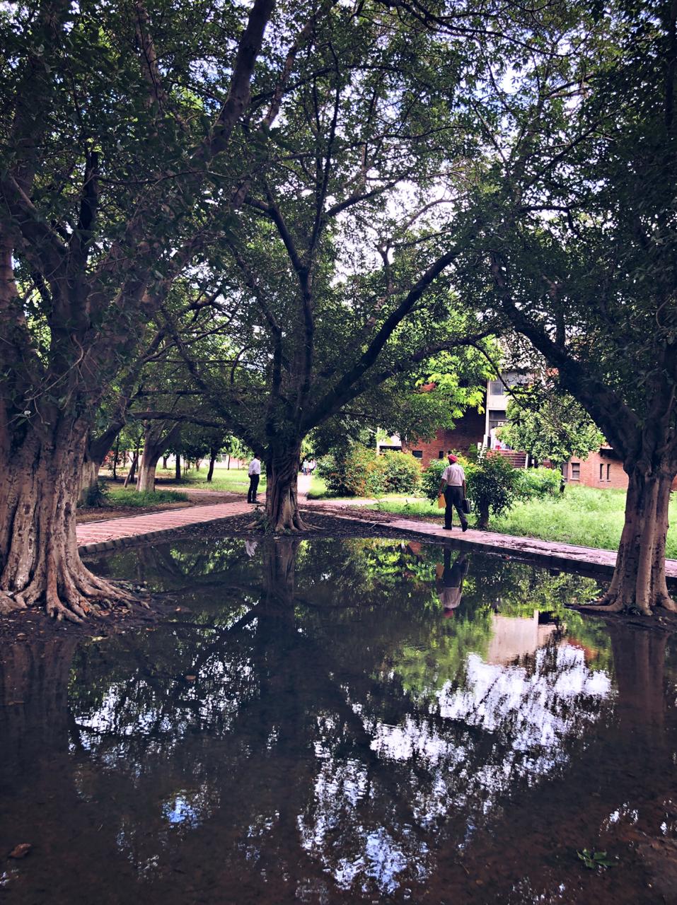 Photography Club Activity